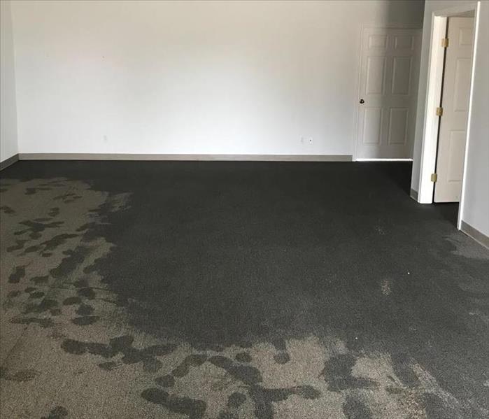 Wet carpet in a commercial building before mitigation begins 